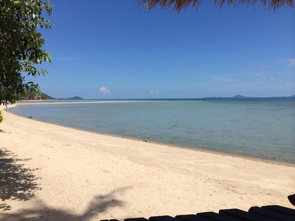 The Blue Parrot Hotell Ko Pha Ngan Eksteriør bilde